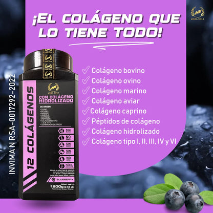 12 Colagenos x 1200Gr