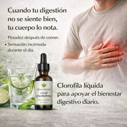 Gotas de clorofila x 59ML