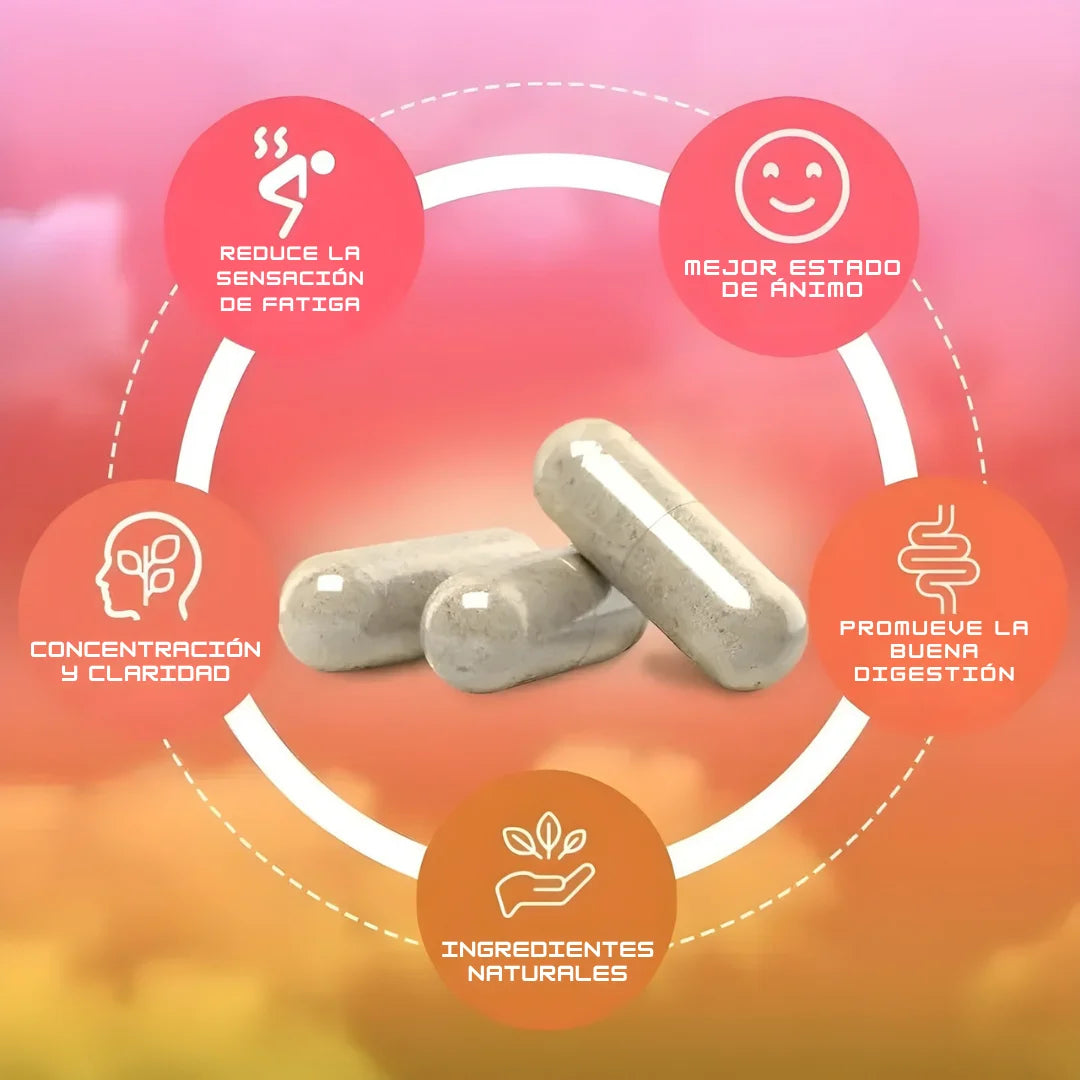Yerba Magic x 60 capsulas