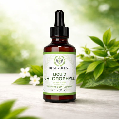 Gotas de clorofila x 59ML