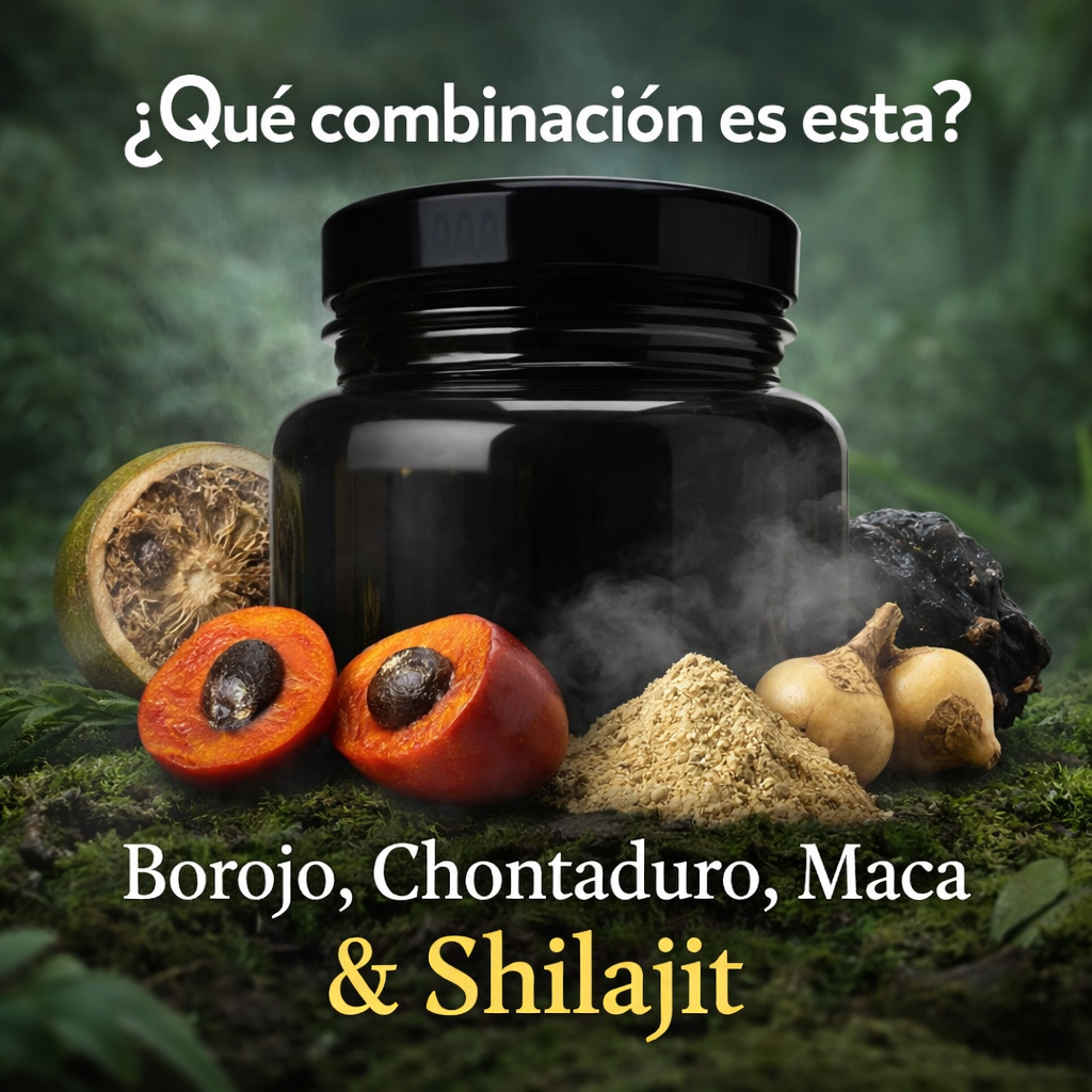 Shilajit Jalea x 125ML