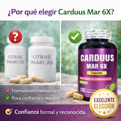 Carduus x 100 capsulas