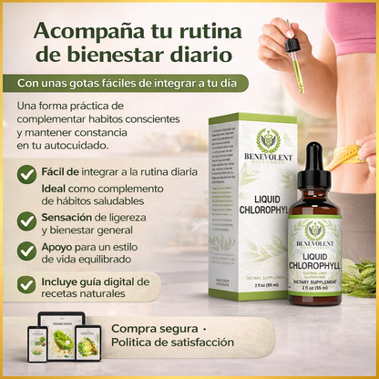 Gotas de clorofila x 59ML