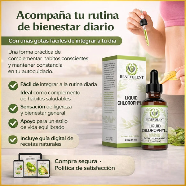 Gotas de clorofila x 59ML - Gotas de clorofila x 59ML2