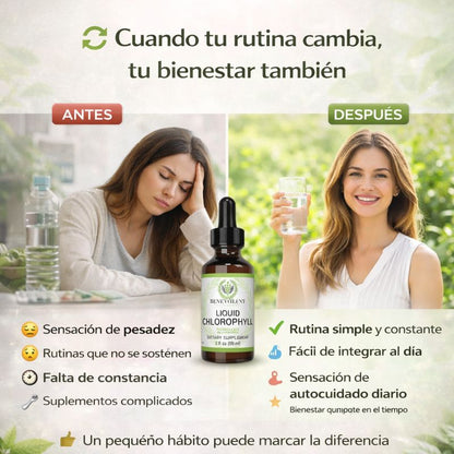 Gotas de clorofila x 59ML