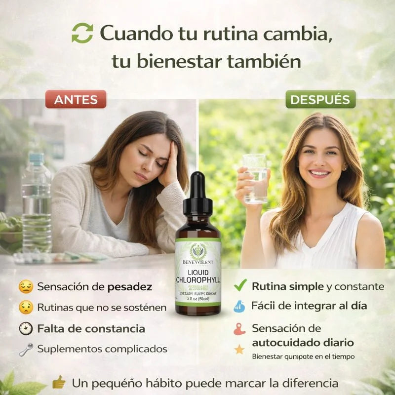 Gotas de clorofila x 59ML