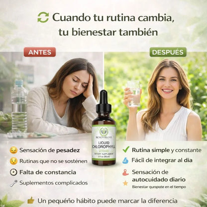 Gotas de clorofila x 59ML