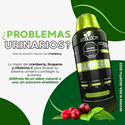 Cranberry x 1000 ML
