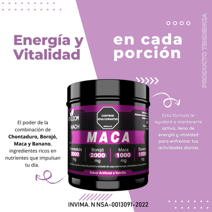 Maca x 2000 Gr