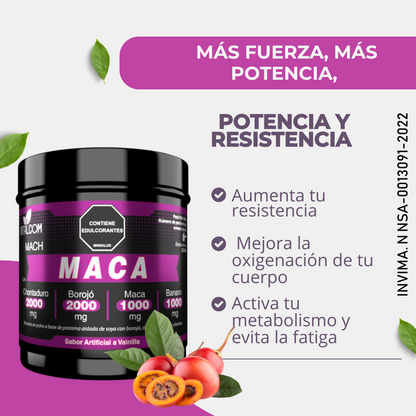 Maca x 2000 Gr
