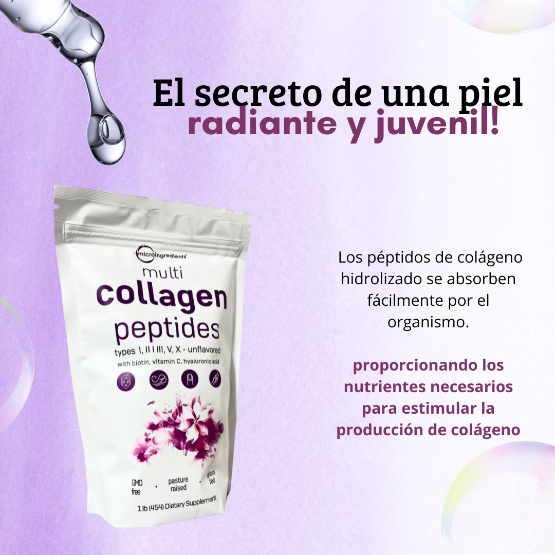 Multi Collagen en Polvo x 454Gr